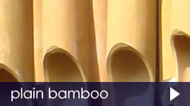 bamboo plain 268.jpg