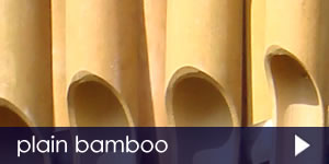 new bamboo plain .jpg