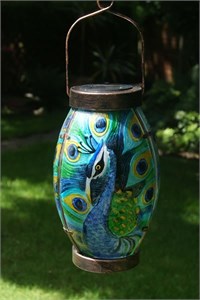 Peacock Solar Lantern