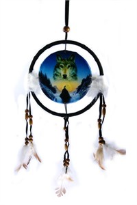 Cosmic Wolf Dreamcatcher