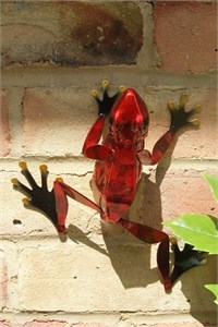 Red Frog Wall Art