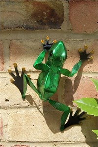 Green Frog Wall Art