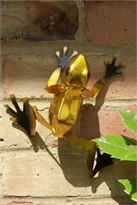 Yellow Frog Wall Art