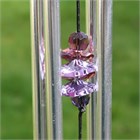 Owl Wind Chime with Crystals