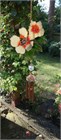 Two Flowers Wind Chime, cream