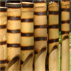 Tiger Bamboo Wind Chime
