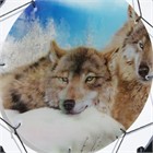 3D Dream Catcher with Wolves