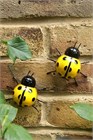 Yellow Ladybirds Wall Art (2)