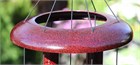Corinthian Bells, 60 inch, Ruby Splash