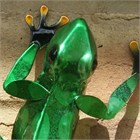 Green Frog Wall Art