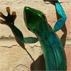 Blue Metal Gecko, 27 cm