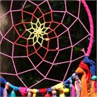 Fiesta Dream Catcher