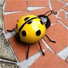 Yellow Ladybirds Wall Art (2)