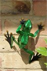 Green Frog Wall Art