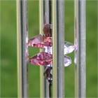 Fairy Wind Chime with Crystals