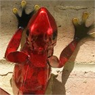 Red Frog Wall Art