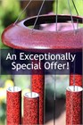 Corinthian Bells, 60 inch, Ruby Splash