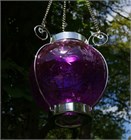 Purple Ball Lantern