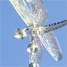 Shimmering Dragonflies Chime 